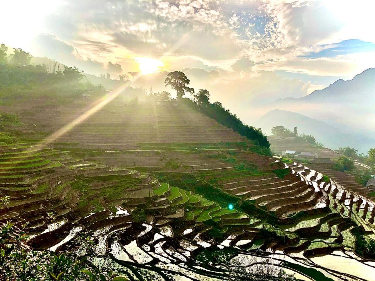 Eco Hills Homestay Sa Pa Eksteriør bilde
