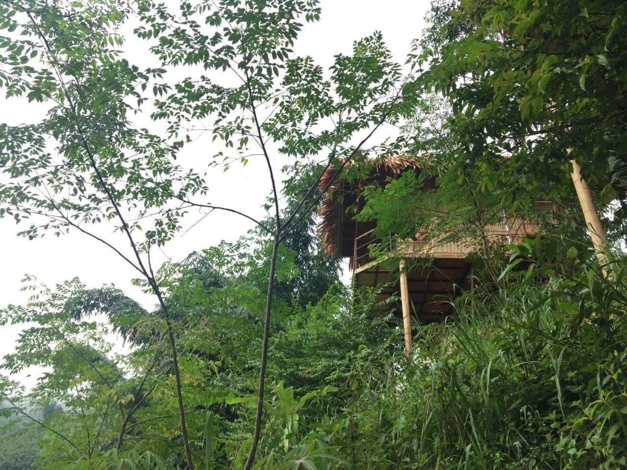 Eco Hills Homestay Sa Pa Eksteriør bilde