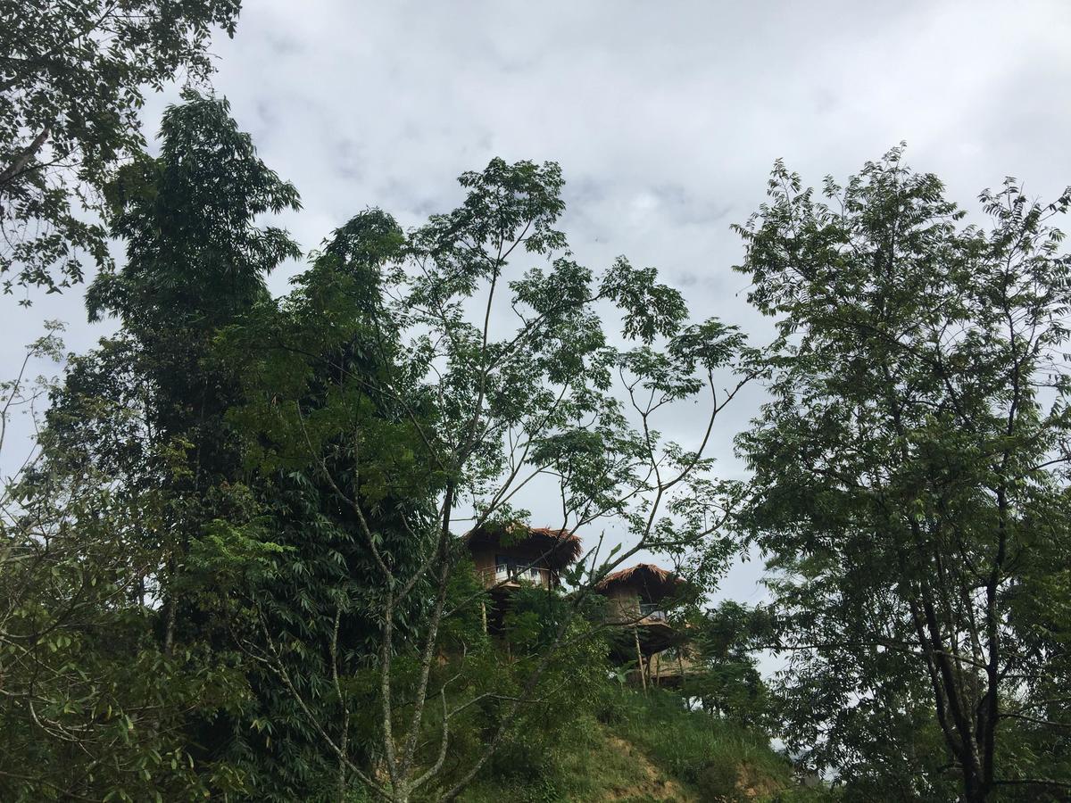 Eco Hills Homestay Sa Pa Eksteriør bilde
